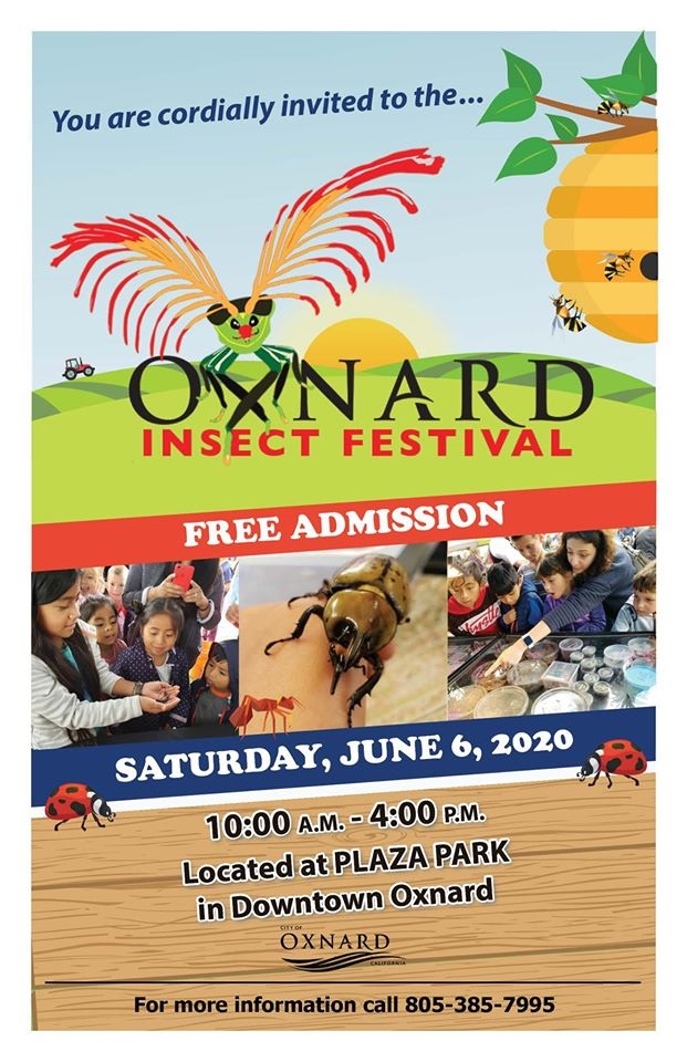 Oxnard Insect Festival (OXNARD) Macaroni KID Camarillo Ventura Oxnard