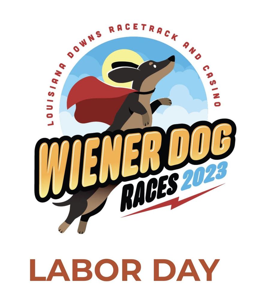 Wiener Dog Races at Louisiana Downs Macaroni KID ShreveportBossier