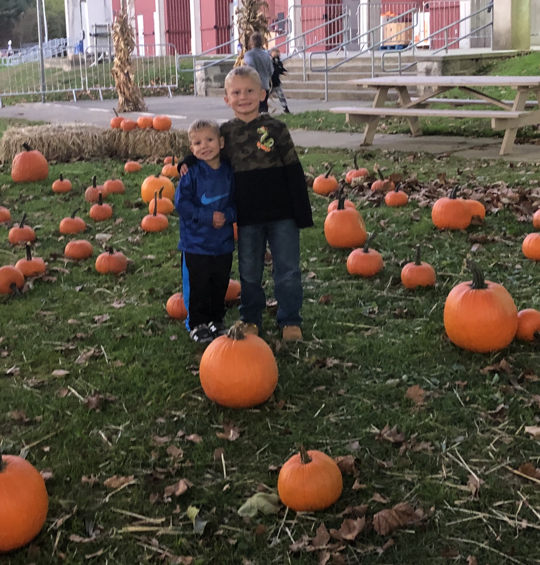 Skylands Stadium Jack O Lantern Experience Fall Festival Macaroni 