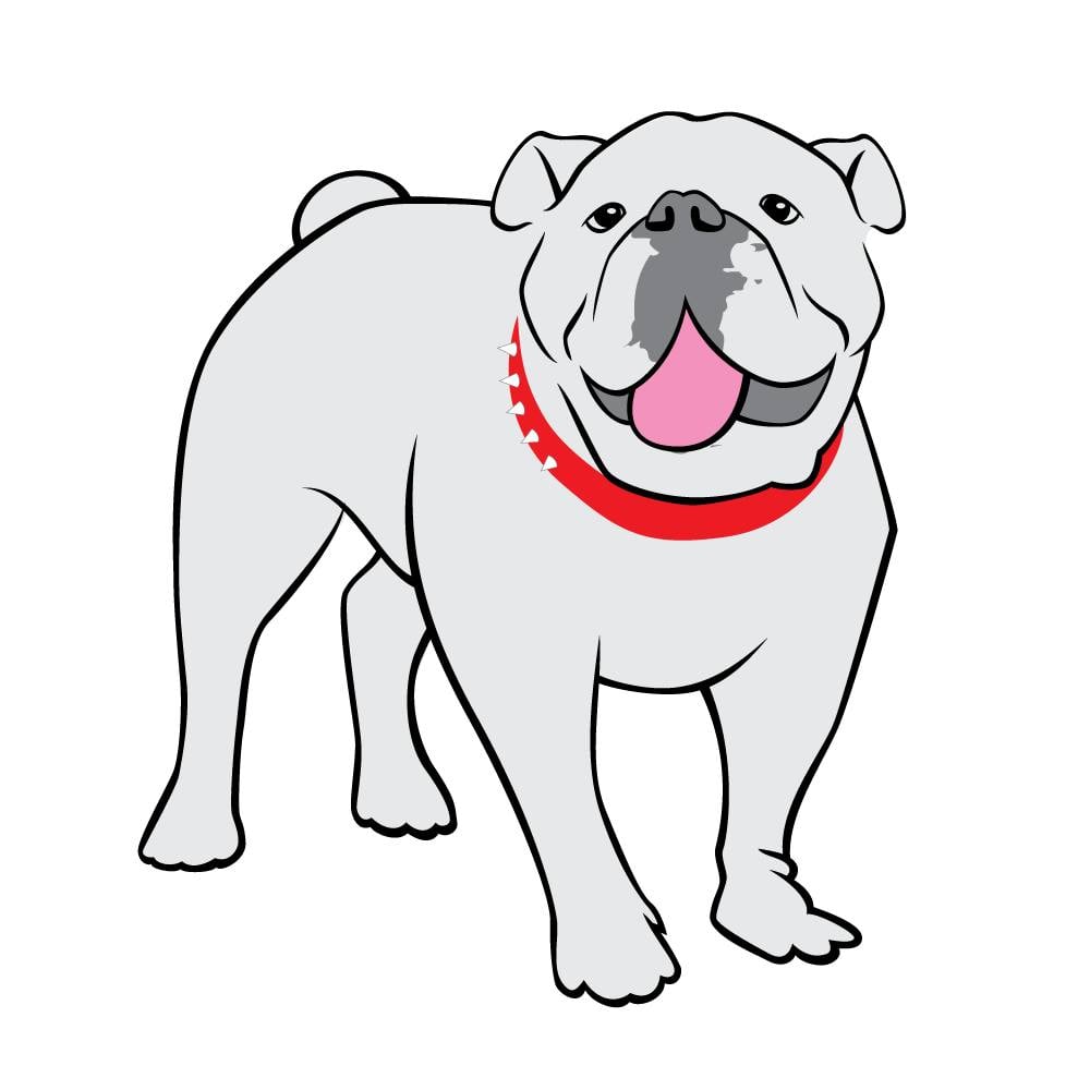 Bulldog clipart with white background