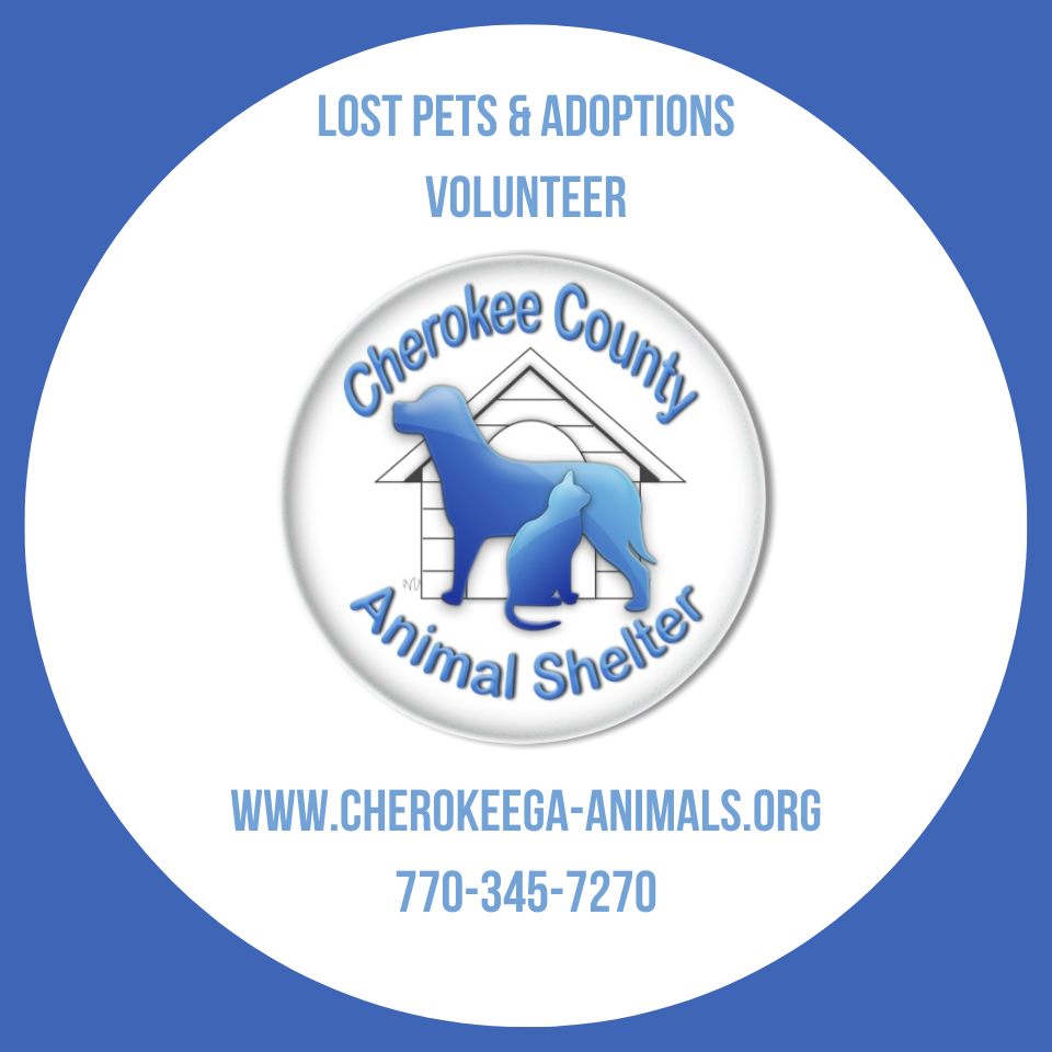 Lost Pets and Adoptions