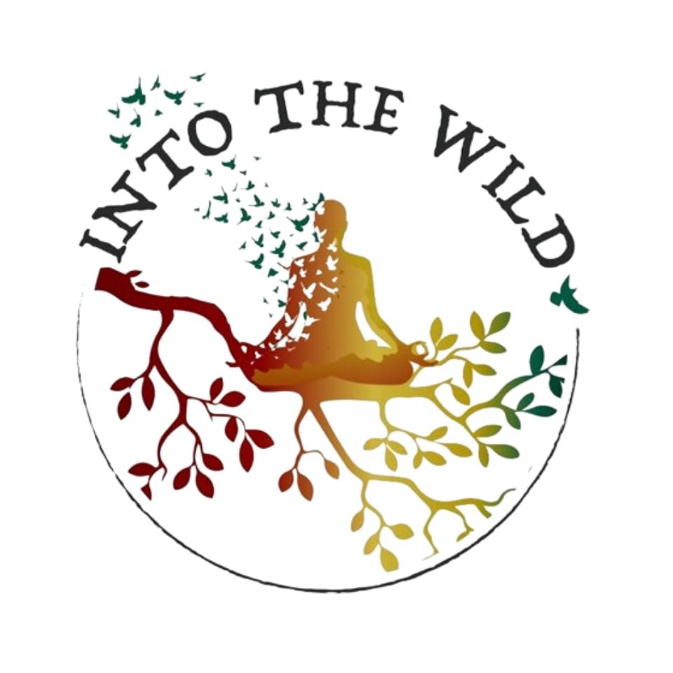 Into the Wild, Female Focused, Healing, Substance Abuse, Trauma, Treatment, Help, Addiction