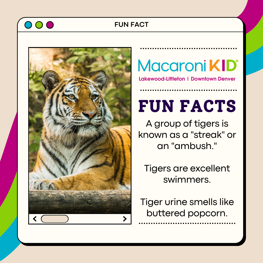 55 Fun Tiger Facts for Kids - Little Learning Corner