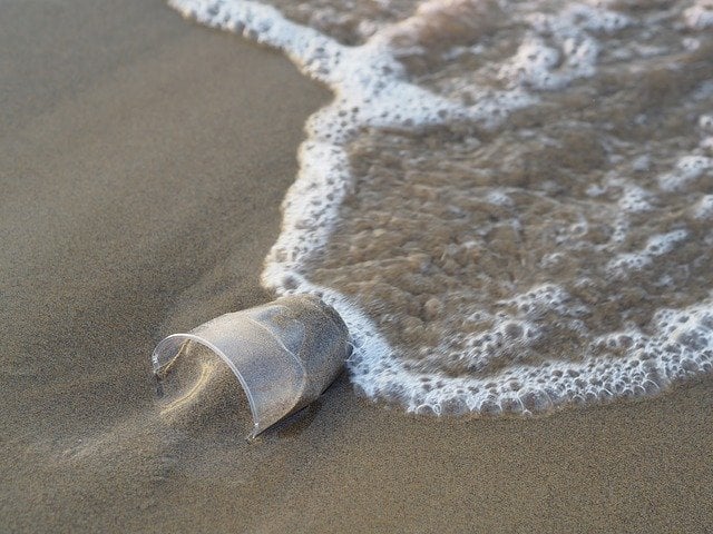 plastic cup on beach