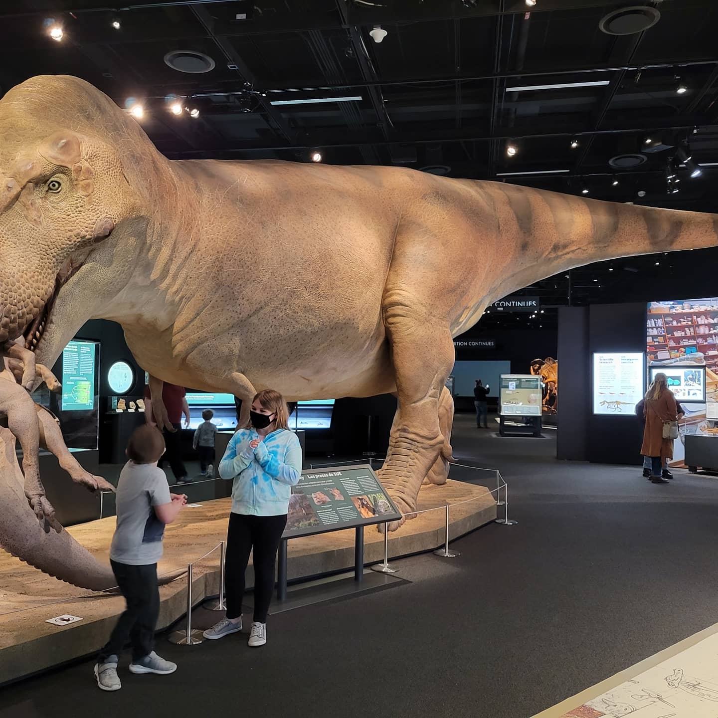 Sue the T. rex has taken over Denver Museum of Nature & Science, and it's a  must-see