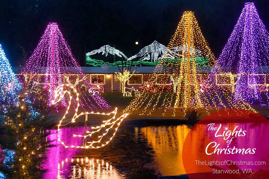 The Lights of Christmas A Northwest Christmas Tradition Macaroni