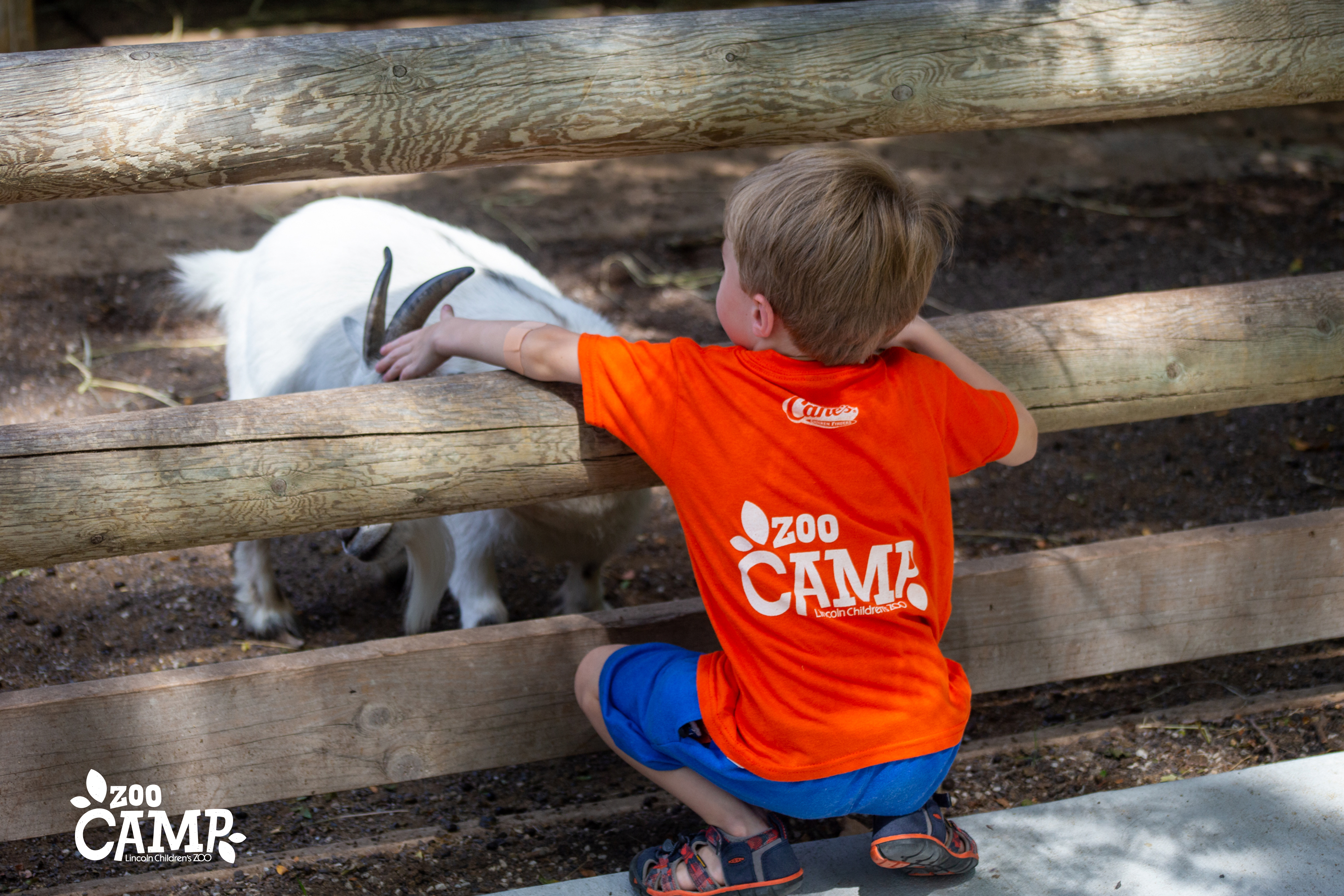 Summer Camps – Color Science - Lincoln Children's Museum