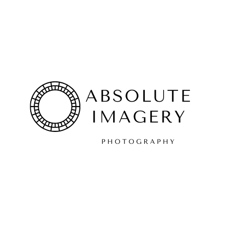 Absolute Imagery Photography logo