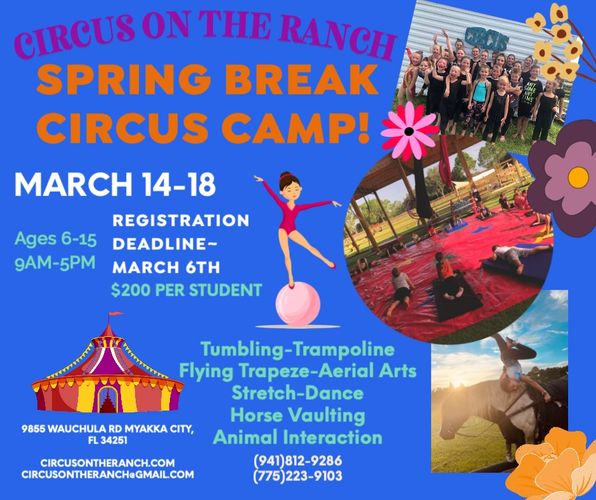 Circus on the Ranch | Macaroni KID Bradenton