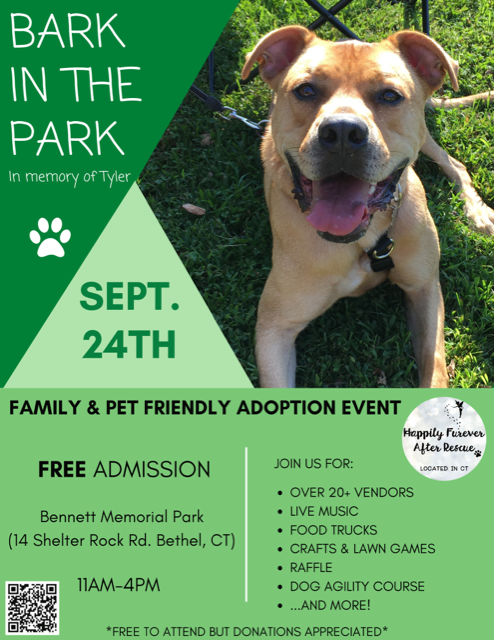 People Bring Their Pups to Hartford's 'Bark in the Park' – NBC Connecticut