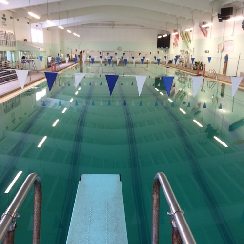 Gone Swimmin' - Make a Splash at Local Indoor Pools | Macaroni Kid Kitsap