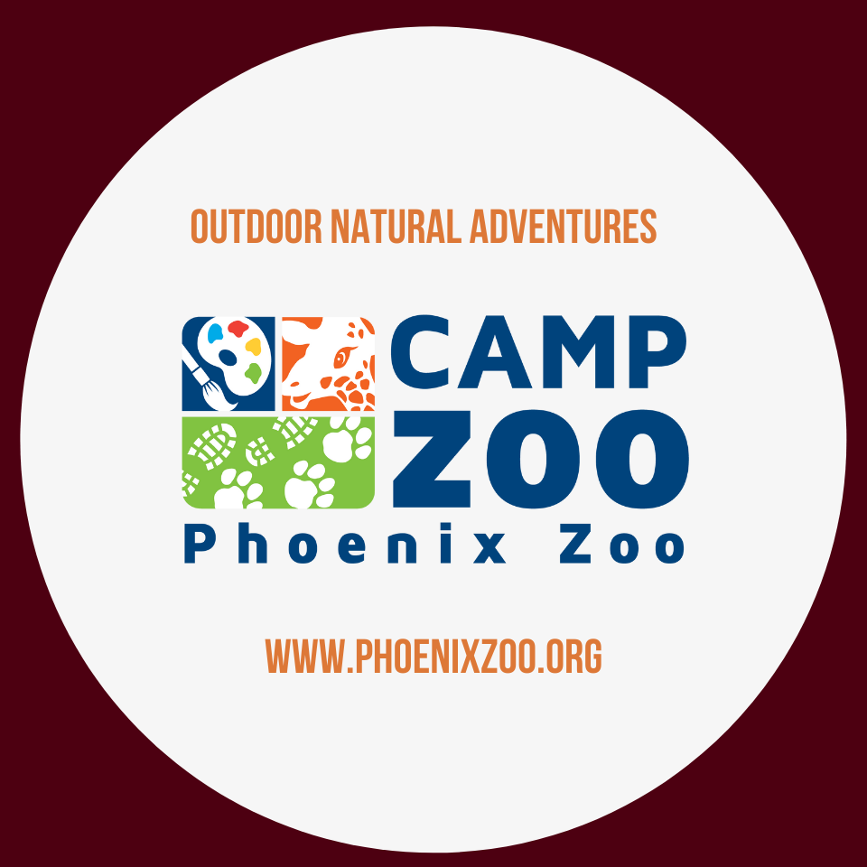 Phoenix Zoo Summer Camp Macaroni KID North ScottsdalePV