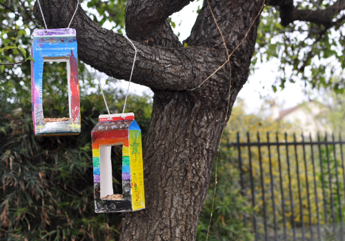 DIY bird feeders made from old milk cartons hanging from a tree