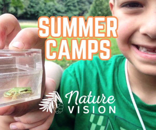 Nature Vision Summer Camps