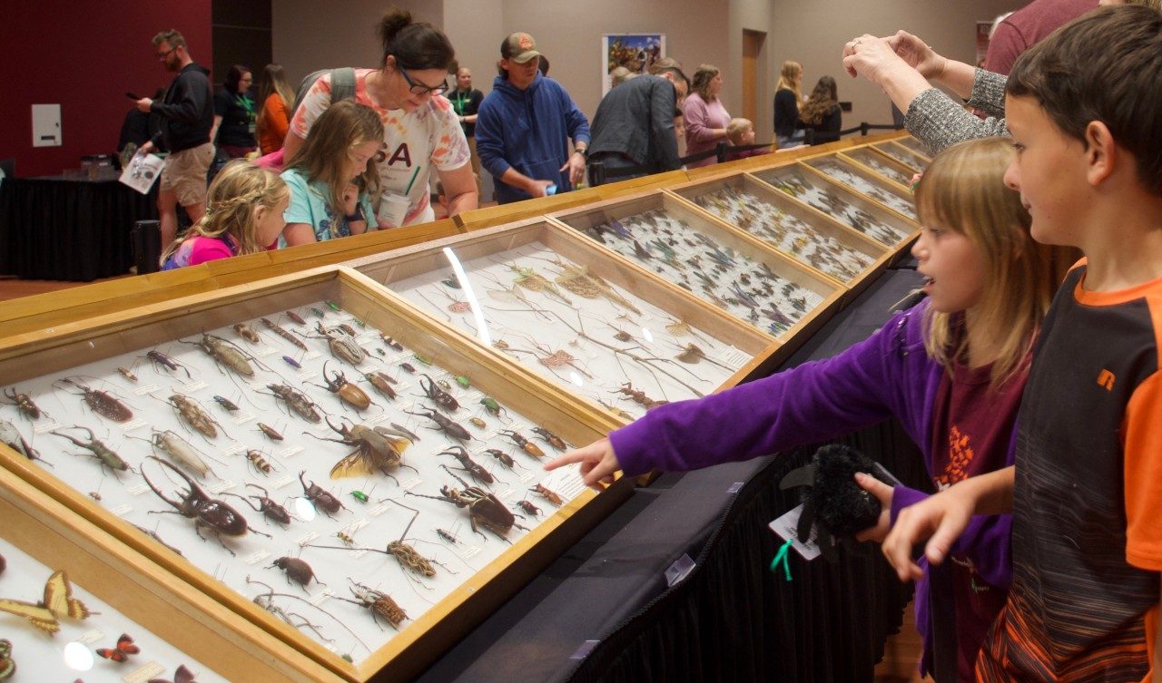 Hokie BugFest Returns to Blacksburg Macaroni KID New River Valley