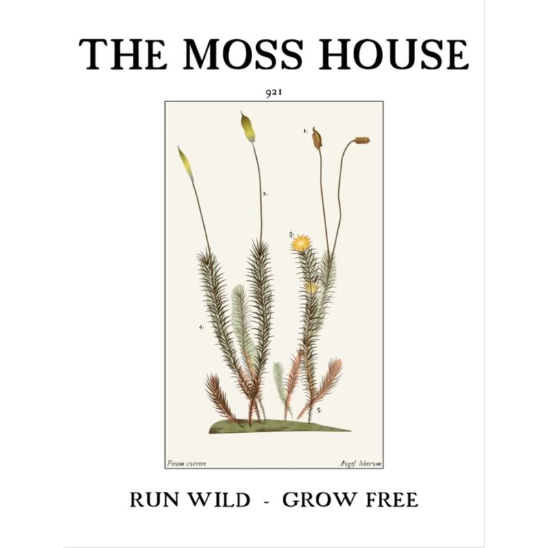 The Moss House Forest School Binghamton