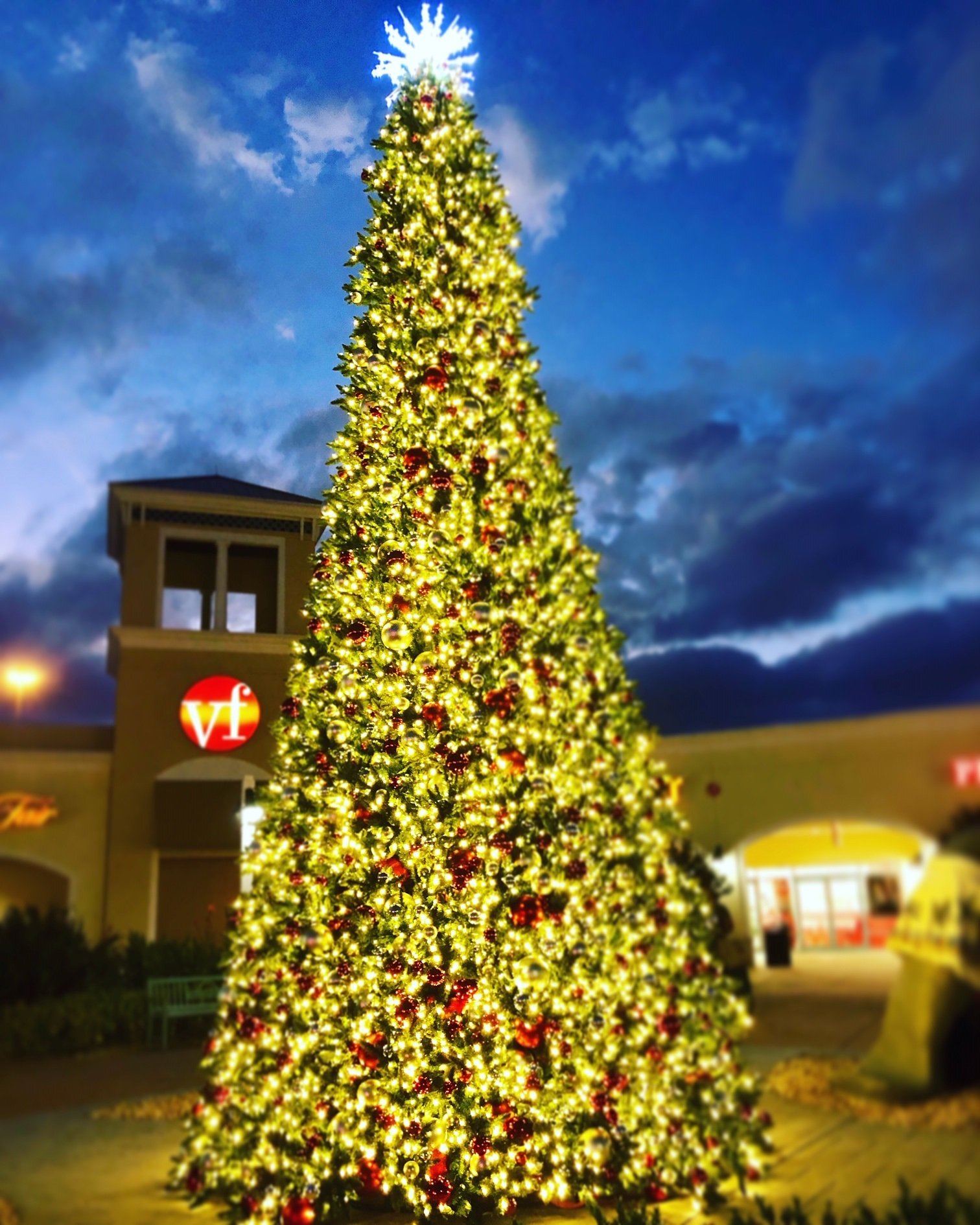 Ellenton Outlets spreads Christmas Cheer w/ 2nd Annual Tree Lighting |  Macaroni KID Bradenton