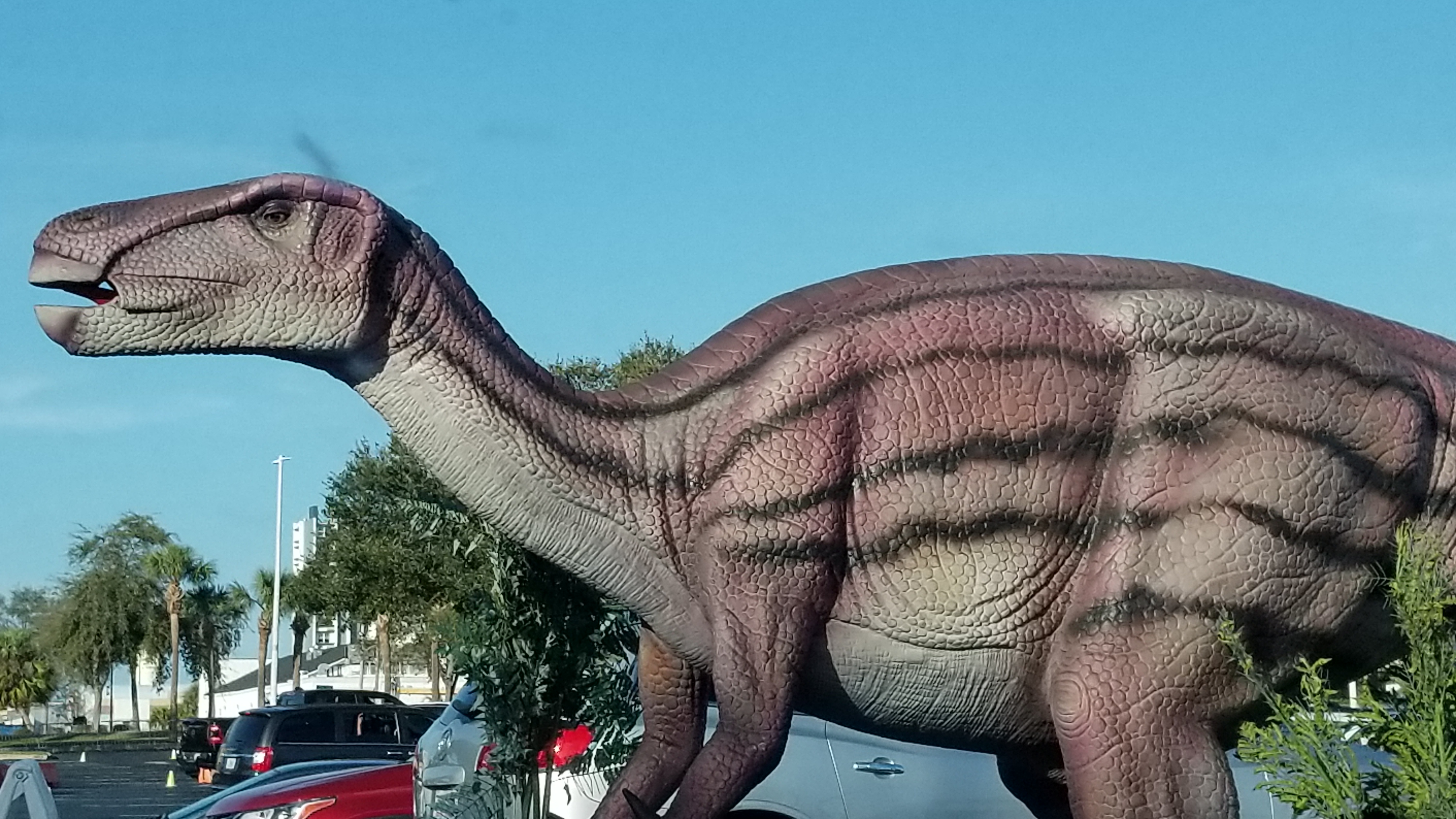 Jurassic Quest is Roaring into Tampa! Macaroni KID Winter HavenDavenport