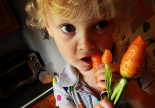 little girl eating carrot 