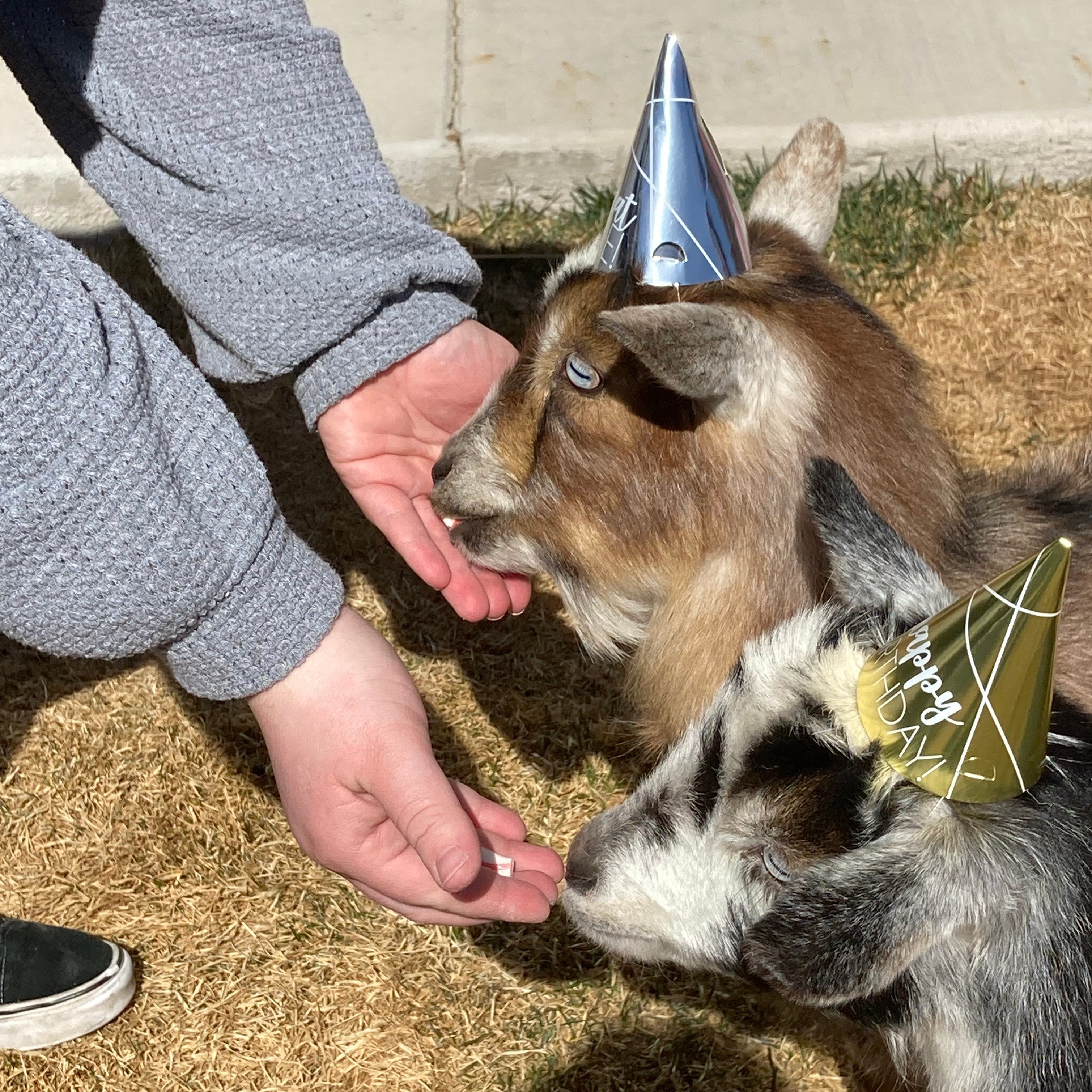 How to throw a 1980s themed party – PARTY GOAT
