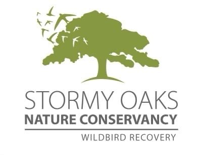 Stormy Oaks Nature Conservancy Wildbird Recovery