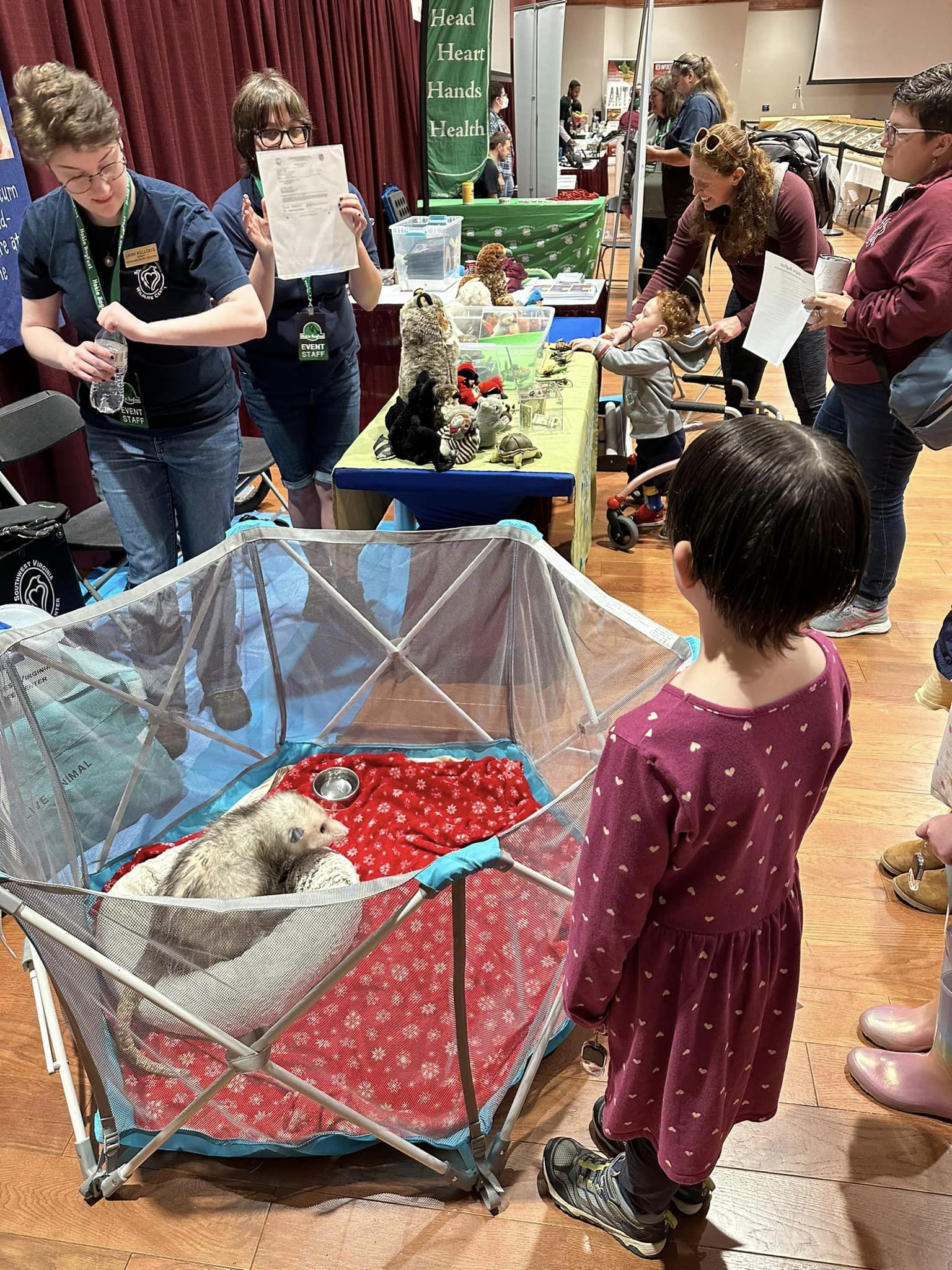 Hokie BugFest Bug Lovers for the 13th Year On October 7th