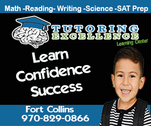 Learn Confidence Success Tutoring Excellence