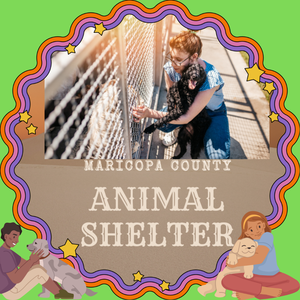 Business directory image for maricopa animal shelter