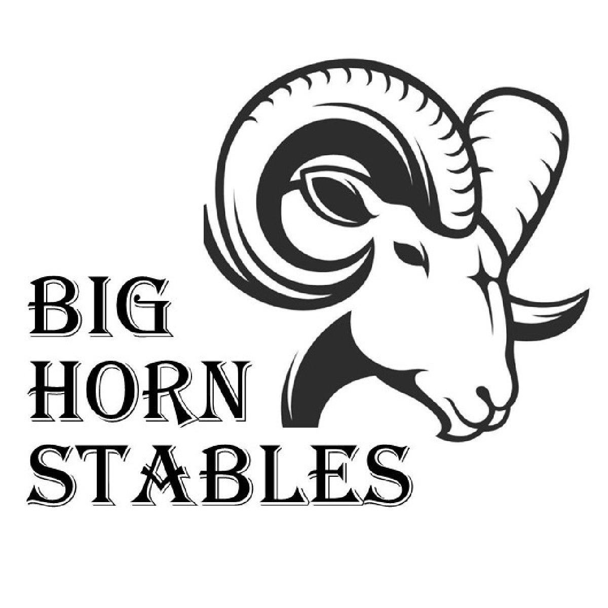 Big Horn Stables logo