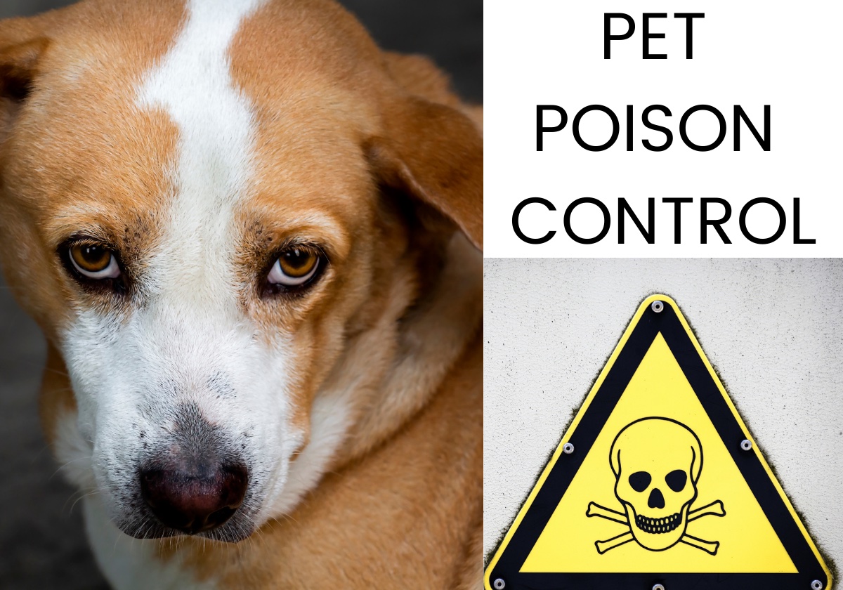Pet Poison Control