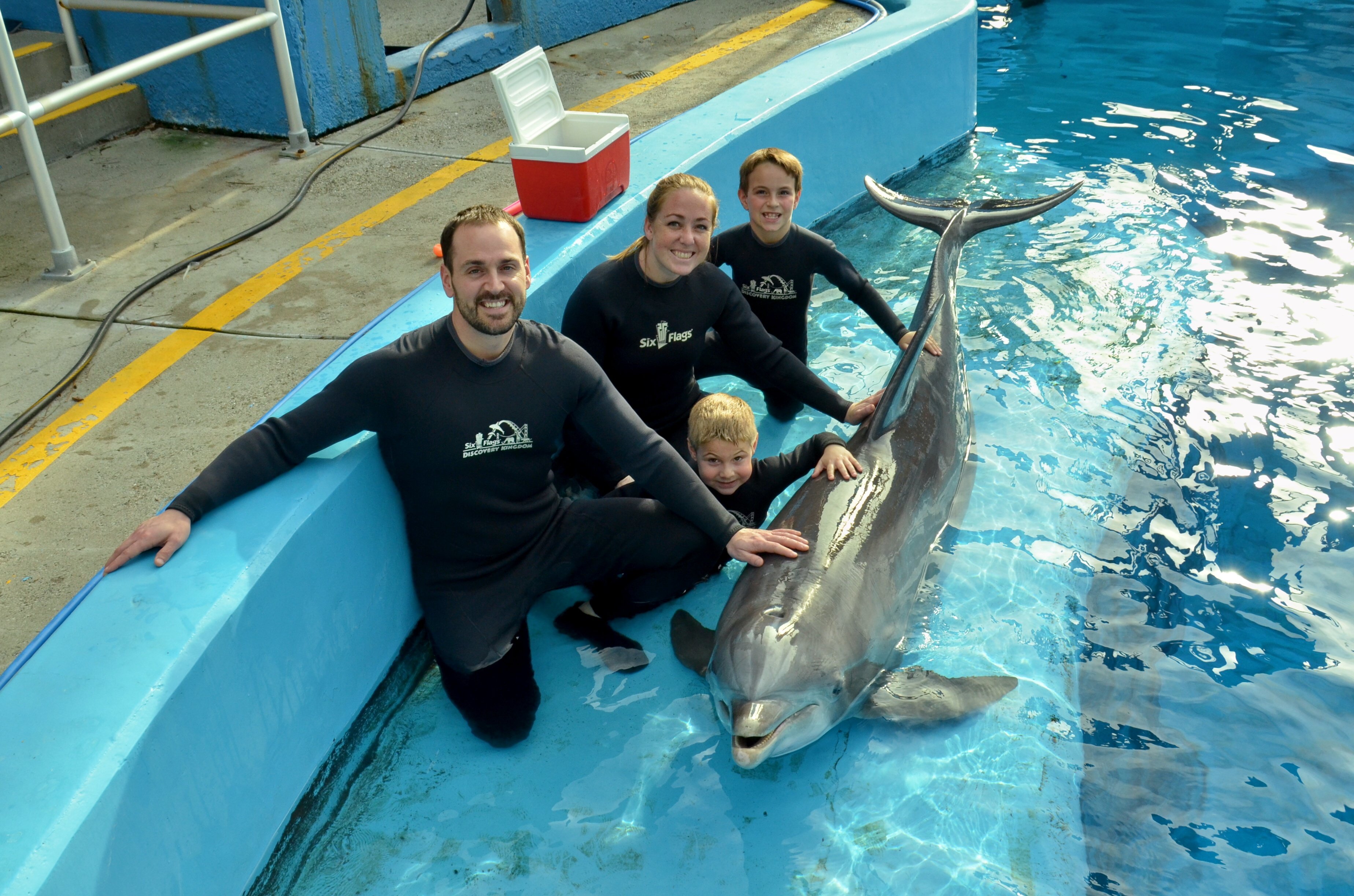 Dolphin Discovery - Six Flags Discovery Kingdom