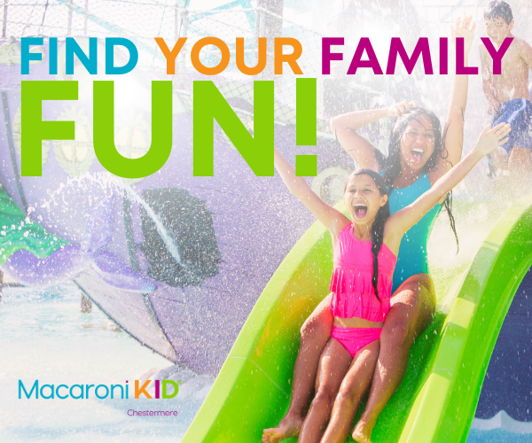 Find Your Family Fun