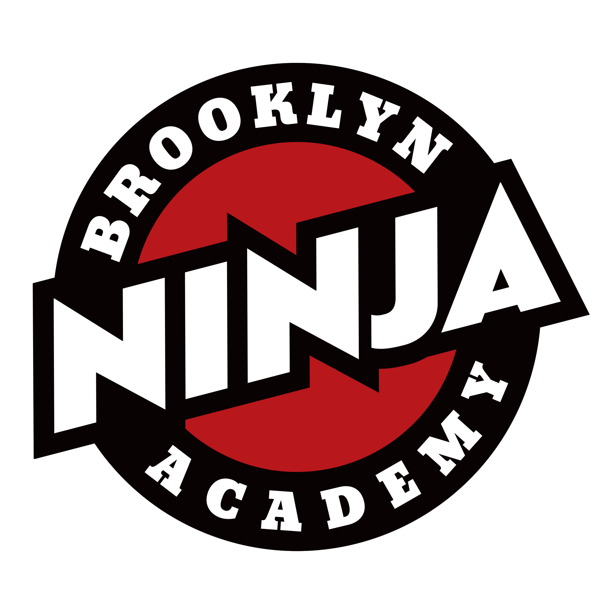 Brooklyn Ninja Academy logo