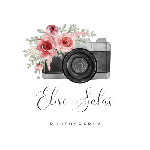 Black and white illustration of camera with pink flowers with greenery on top