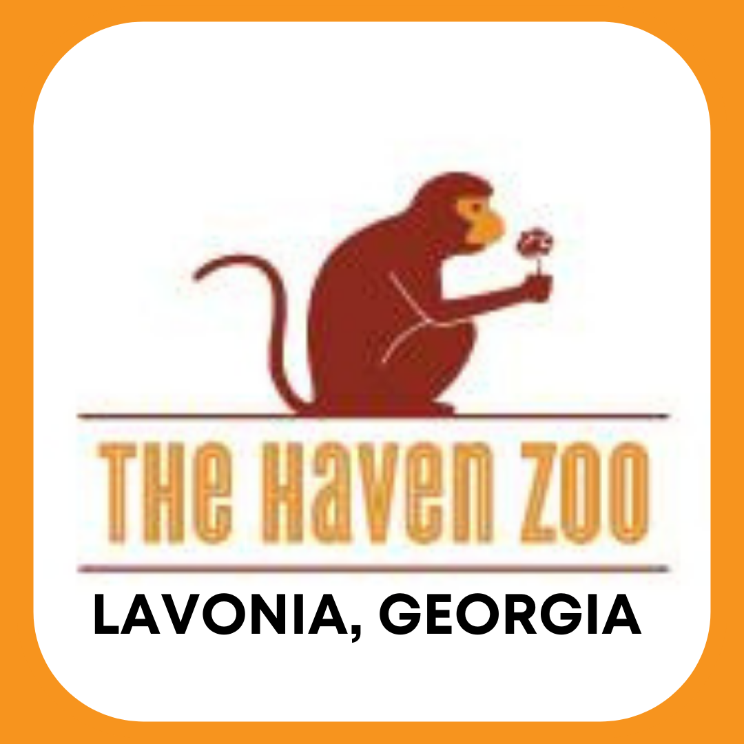 Haven Zoo 