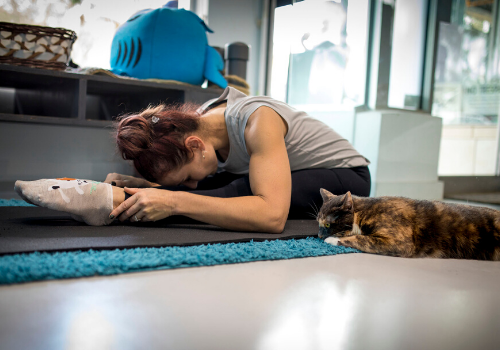 Purr-lattes stretch class at Cat Café (Zoom available too)