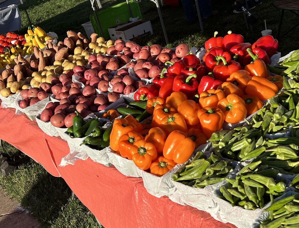 🎃 Trick or Treat 2024 Bossier City Farmers Market Pierre Bossier Mall