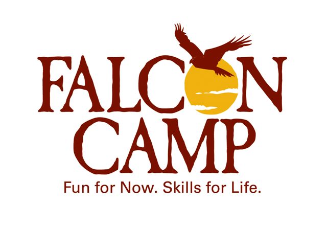 Falcon logo 13 