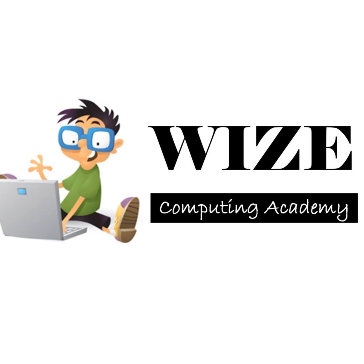 Wize Academy logo
