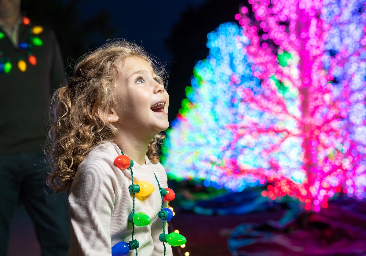 Atlanta Botanical Garden Wins in ABC’s Great Christmas Light Fight