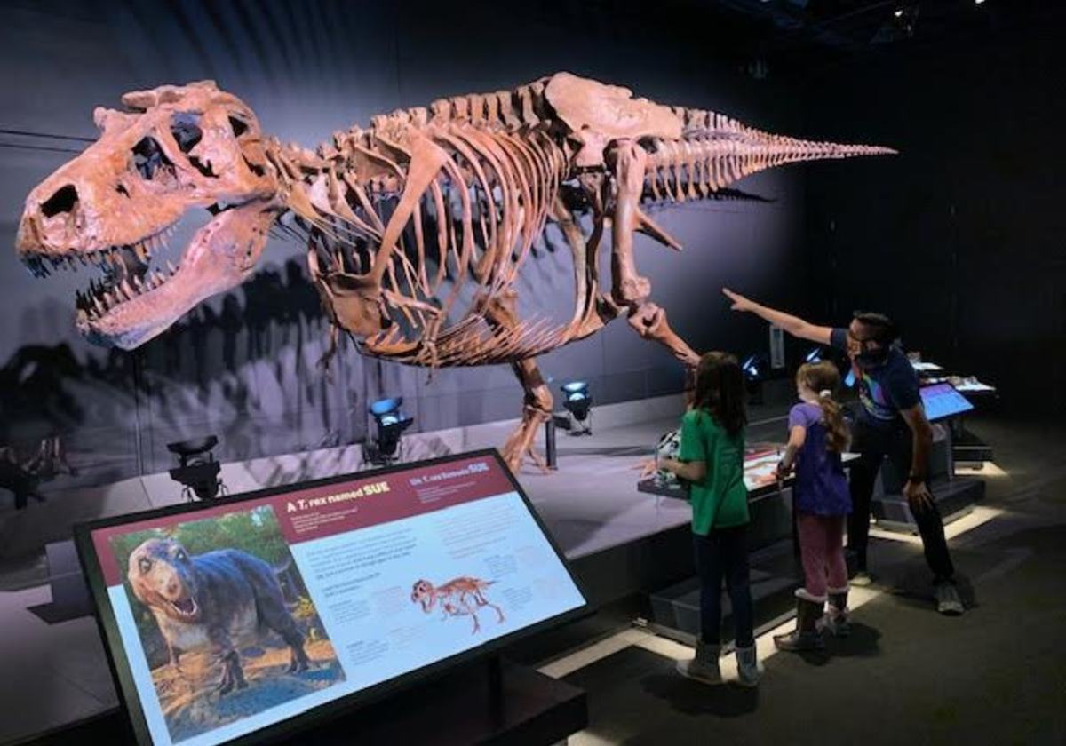 Sue the T. rex has taken over Denver Museum of Nature & Science, and it's a  must-see