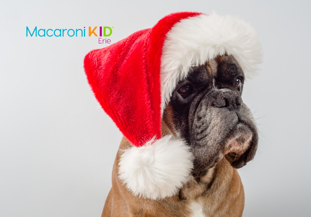 New Events Just Added Where You Can Get Holiday Pet Photos In