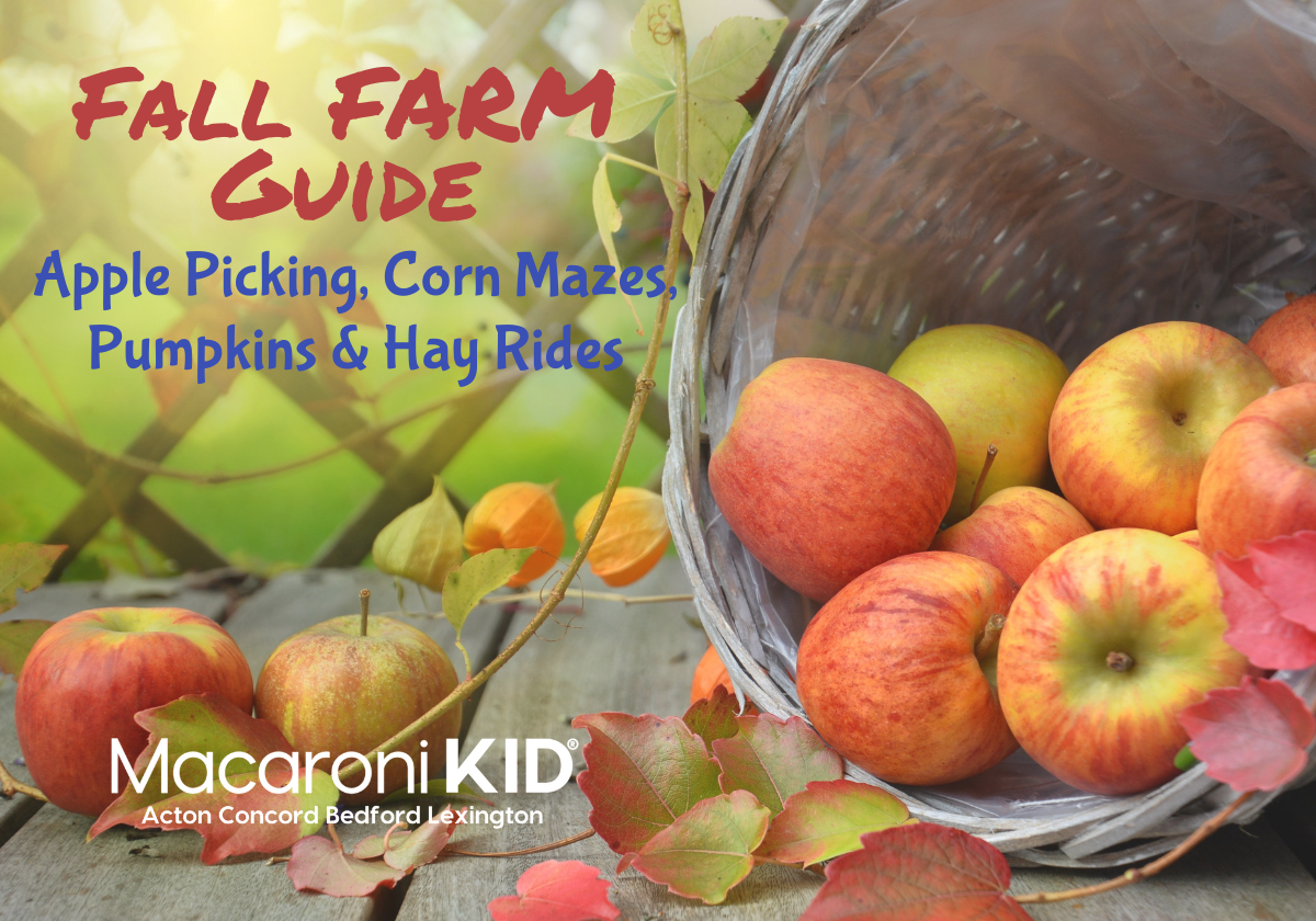 An A-to-Z Guide to Apples, New England's Most Iconic Fall Fruit