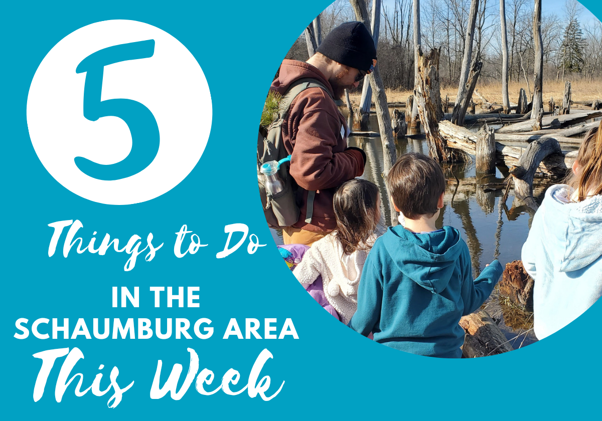 Top 5 Things To Do in the Schaumburg Area With Kids This Week ...