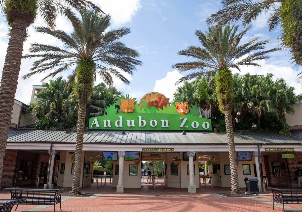 Plan-Ahead Pricing at Audubon Zoo and Audubon Aquarium of the Americas ...