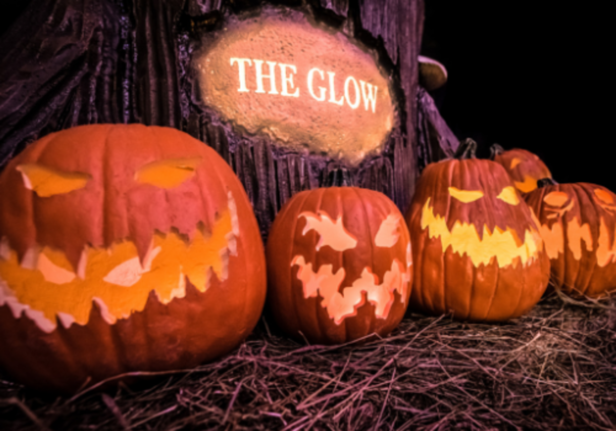 Jack's Pumpkin Glow in Philadelphia includes thousands of jack-o