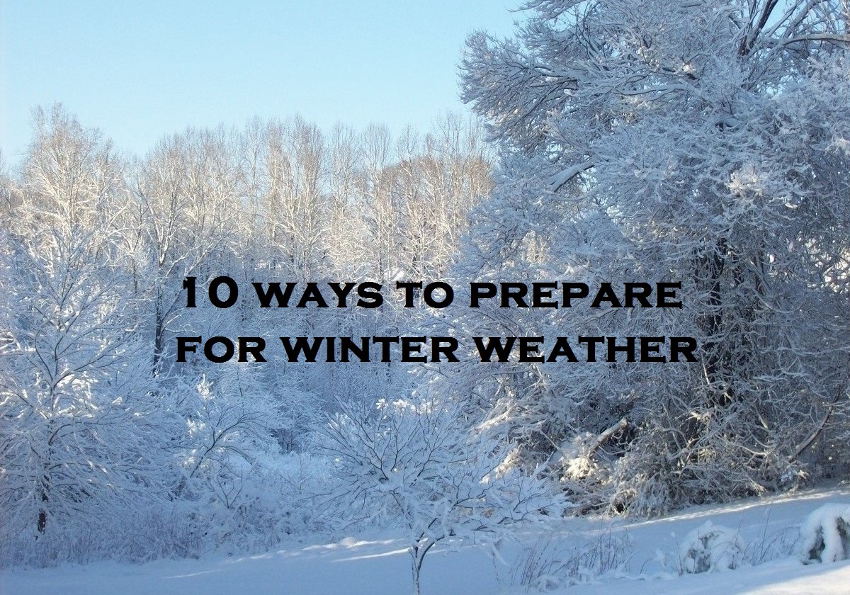 Ice Scrapers and Snow Brushes : Cold Weather Prep : Target Essentials for  Winter Readiness