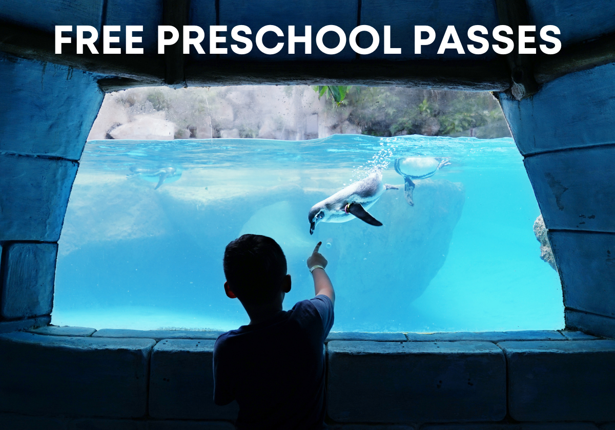 2025 Free Preschool Passes at SeaWorld Orlando and Busch Gardens Tampa