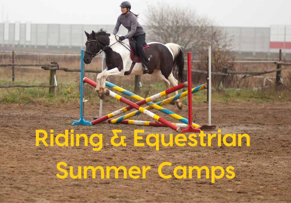 Macaroni KID Shreveport Summer Spotlight: Riding & Equestrian Camps ...