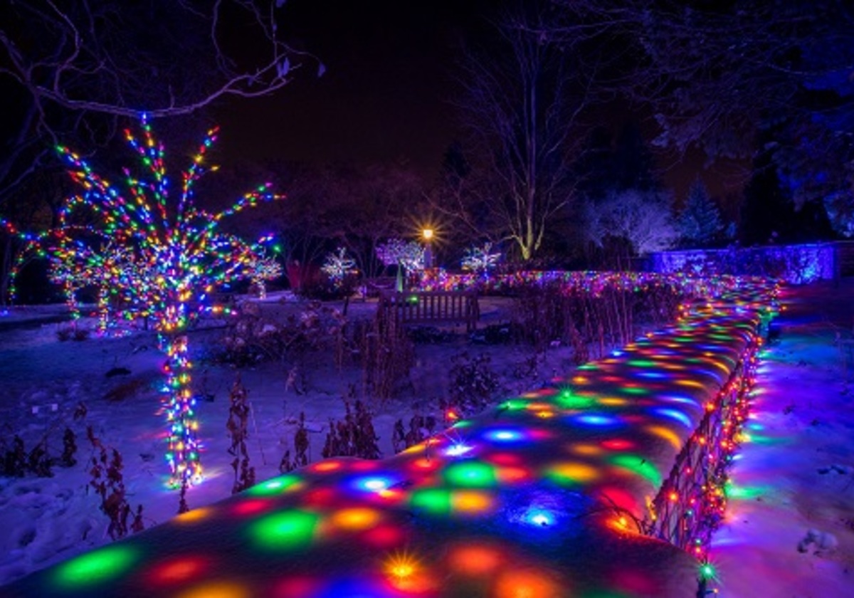 landscape arboretum christmas lights